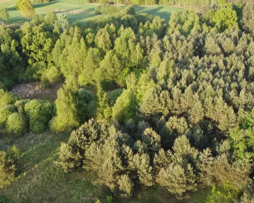 Nietypowa działka 2 ha w Kawęczynie gm. Ciepielów