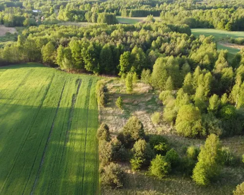 Nietypowa działka 2 ha w Kawęczynie gm. Ciepielów