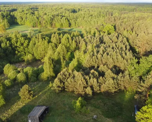 Nietypowa działka 2 ha w Kawęczynie gm. Ciepielów