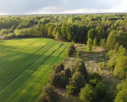 Działka o  pow. 1,63 ha w Karolowie gm. Chotcza.
