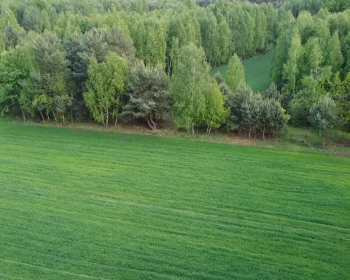 Działka o  pow. 1,63 ha w Karolowie gm. Chotcza.