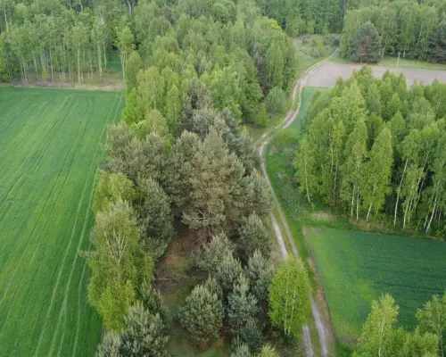 Działka o  pow. 1,63 ha w Karolowie gm. Chotcza.