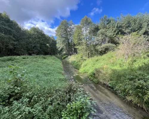 Działka 1441 m2 prze drodze 747 w Lipie Miklas.
