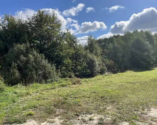 Działka 1441 m2 prze drodze 747 w Lipie Miklas.