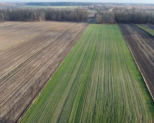 Działka (1182 m2) z WZ w Jabłonowie gm. Policzna.