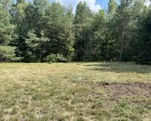 Działka 3117 m2 pośród drzew w Kowali gm. Puławy.