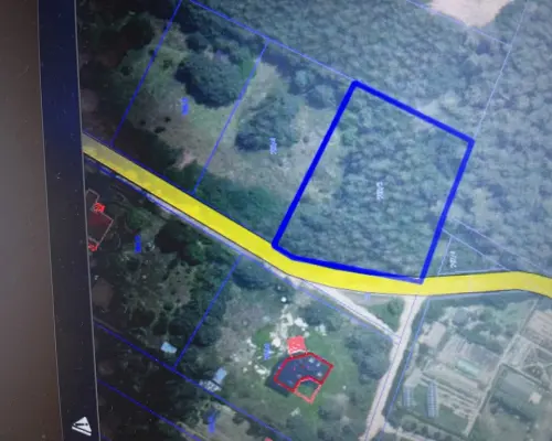 Działka 3117 m2 pośród drzew w Kowali gm. Puławy.
