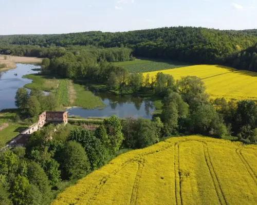 Działka inwestycyjna 35 ha  w Celejowie /Wąwolnica
