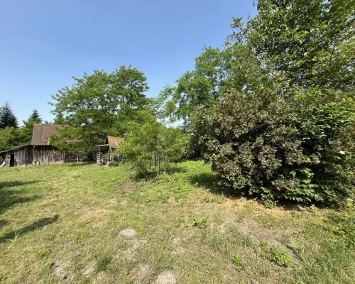 Działka 0,21 ha w Kaliszanach Kolonii gm. Józefów.