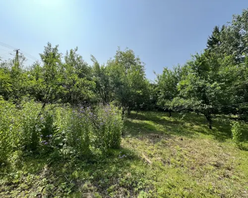 Działka 0,21 ha w Kaliszanach Kolonii gm. Józefów.