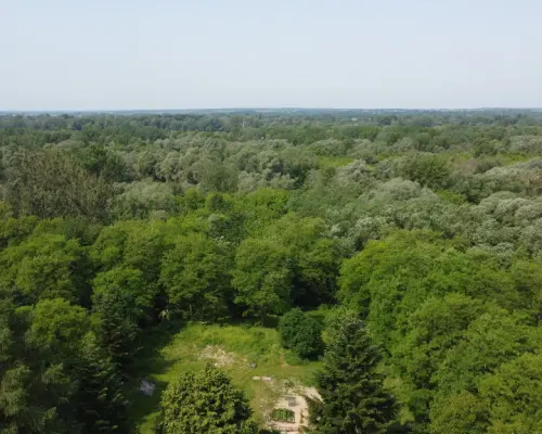 Działka 0,21 ha w Kaliszanach Kolonii gm. Józefów.