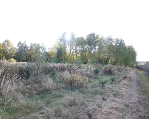 Działka budowlana 15 ar Kozioł g. Baranów