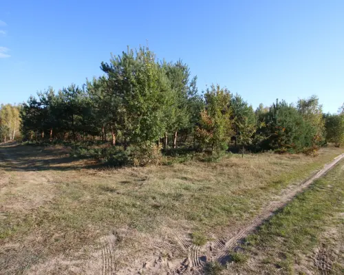 Działka budowlana 15 ar Kozioł g. Baranów