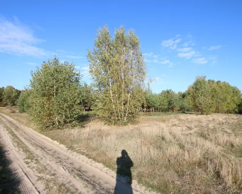 Działka budowlana 15 ar Kozioł g. Baranów