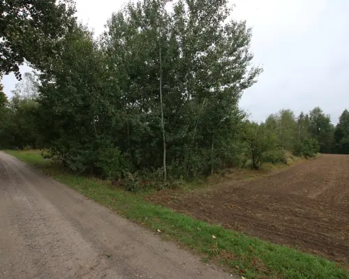 Działka budowlana ok.20 ar Gołąb g. Michów