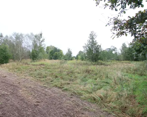 Działka budowlana ok.20 ar Gołąb g. Michów