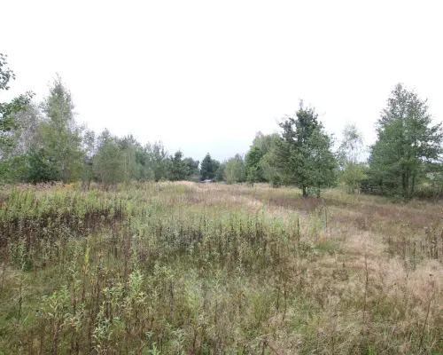 Działka budowlana ok.20 ar Gołąb g. Michów