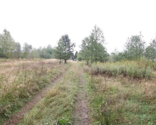 Działka budowlana ok.20 ar Gołąb g. Michów
