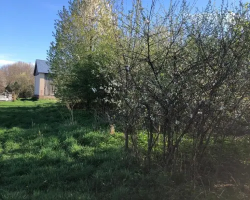 Anielpol - działka  5200m2