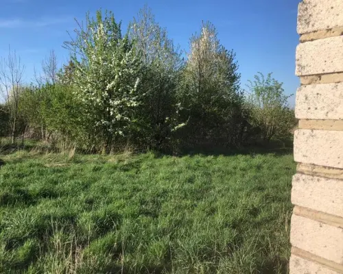 Anielpol - działka  5200m2