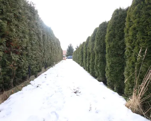 Działka budowlana Turka 18a (tylko 8km do Lublina)