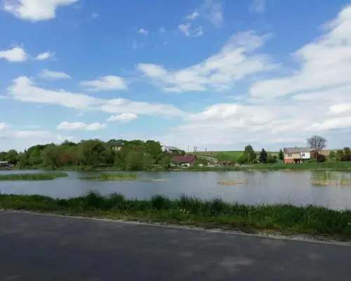 Działka o pow. 4,6 ha w Klementowicach gm. Kurów.