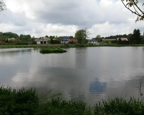 Działka o pow. 4,6 ha w Klementowicach gm. Kurów.
