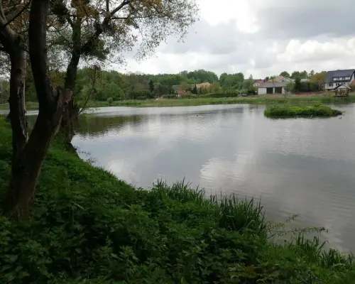 Działka o pow. 4,6 ha w Klementowicach gm. Kurów.