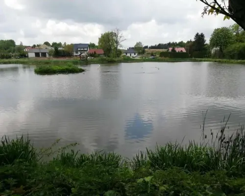 Działka o pow. 4,6 ha w Klementowicach gm. Kurów.