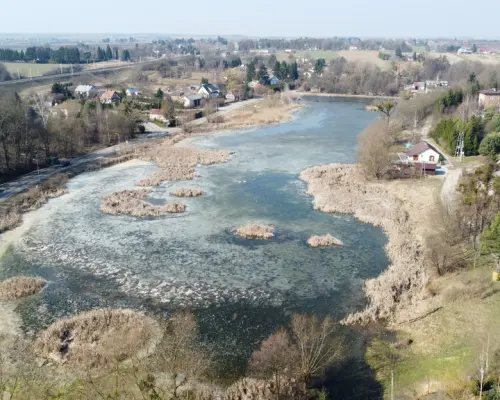 Działka o pow. 4,6 ha w Klementowicach gm. Kurów.