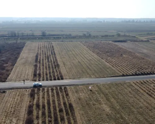 Działka 22 MN 1072 m2 w Końskowoli gm. Puławy.