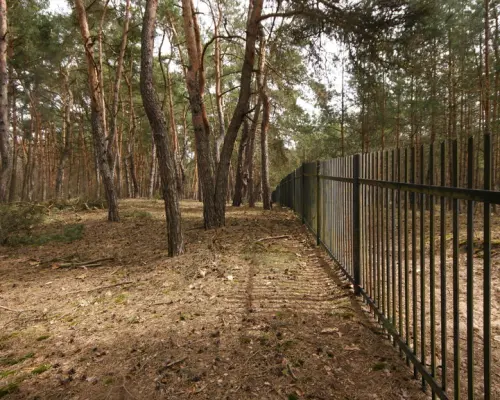 5,42 ha, Stawy rybne, las, Zemborzyce, Lublin
