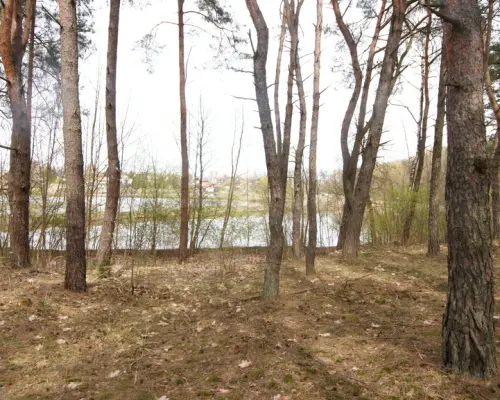 5,42 ha, Stawy rybne, las, Zemborzyce, Lublin