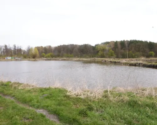 5,42 ha, Stawy rybne, las, Zemborzyce, Lublin