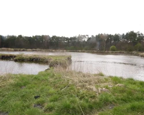5,42 ha, Stawy rybne, las, Zemborzyce, Lublin
