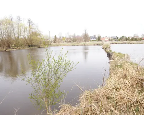 5,42 ha, Stawy rybne, las, Zemborzyce, Lublin