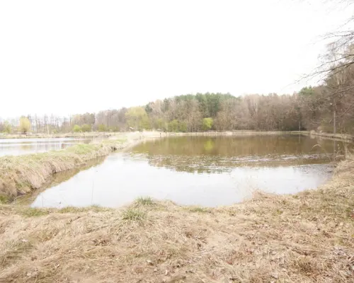 5,42 ha, Stawy rybne, las, Zemborzyce, Lublin