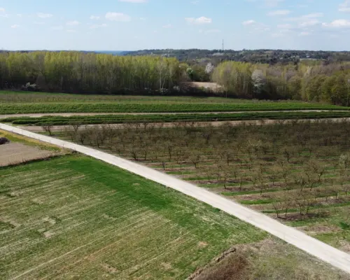 Działka pod zabudowę 3318 m2 Góry Kazimierz Dolny.