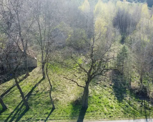 Dziełka rolna w Borowcu gm. Ciepielów pow. lipski.