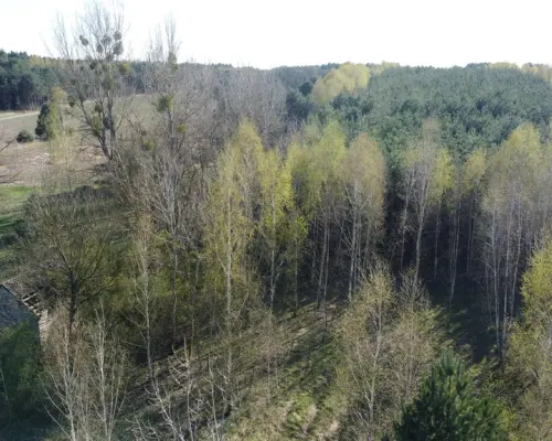 Dziełka rolna w Borowcu gm. Ciepielów pow. lipski.