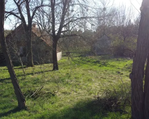 Dziełka rolna w Borowcu gm. Ciepielów pow. lipski.