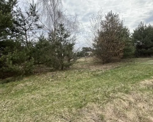 Działka pod zabudowę 991 m2 Kłoda gm. Magnuszew.