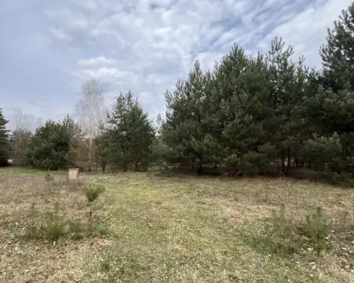 Działka pod zabudowę 991 m2 Kłoda gm. Magnuszew.