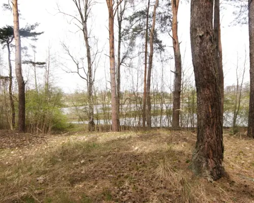 Dom, agroturystyka, stawy, 6.81ha, Lublin