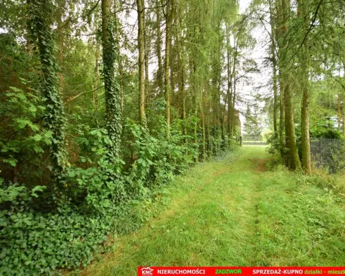Domek letni na Pojezierzu Łęczyńsko-Włodawskim.