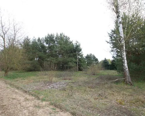 Duża działka 0,6 ha rolno budowlana Wola Lisowska