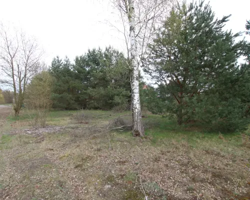 Duża działka 0,6 ha rolno budowlana Wola Lisowska