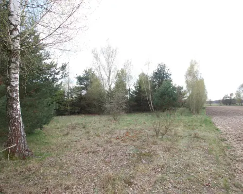 Duża działka 0,6 ha rolno budowlana Wola Lisowska