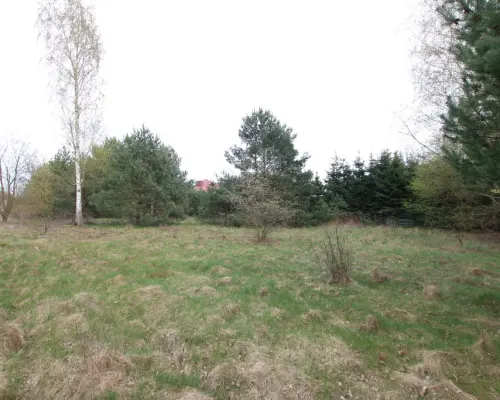 Duża działka 0,6 ha rolno budowlana Wola Lisowska