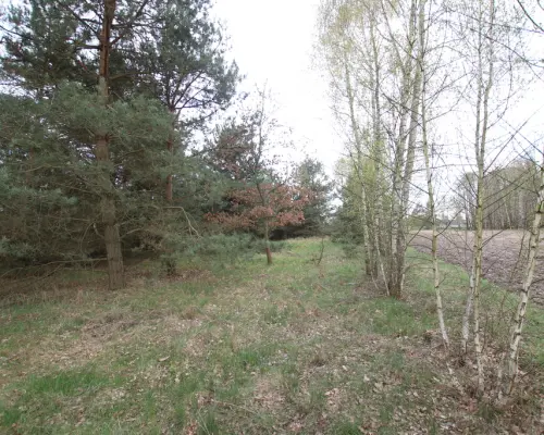 Duża działka 0,6 ha rolno budowlana Wola Lisowska